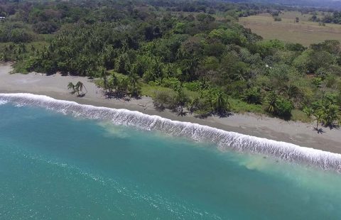 Paradise Found! Fantastic Beachfront Lot in One of Costa Rica’s Most Biodiverse Regions