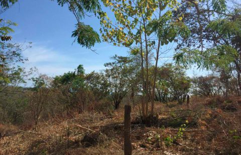 Life by the Beach made possible! Great Lot less than 3 minutes away from Surf!