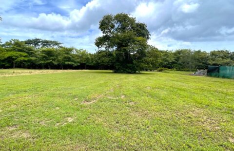 Fantastic Lot in Hacienda Pinilla Beach & Golf Resort